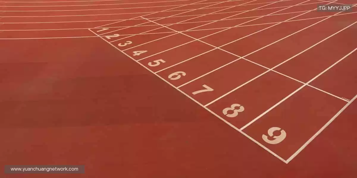 从球鞋到纪念衫,每一件都是热爱的勋章!👟